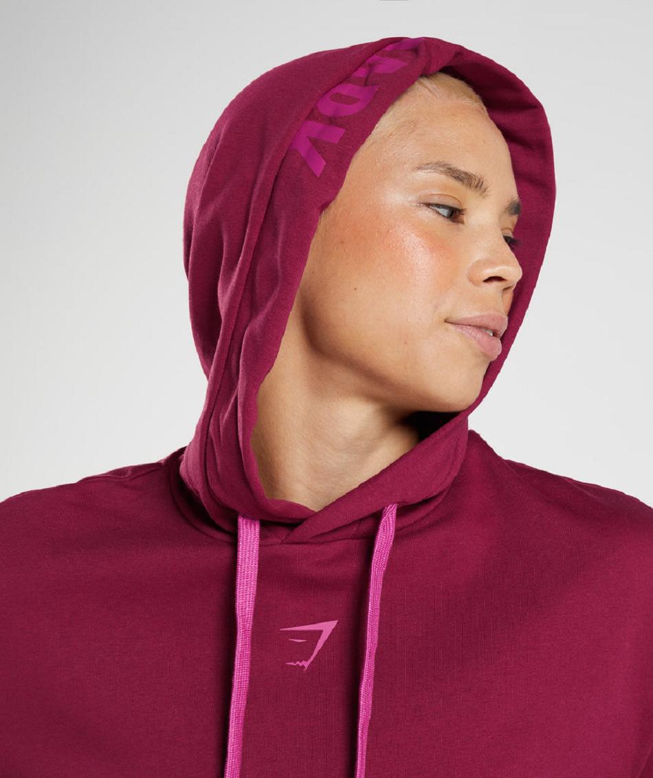 Sudadera Con Capucha Gymshark Graphics Fraction Mujer Rosas | CO 2030CTV